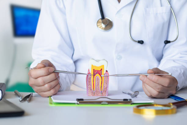 Best Emergency Dentist for Knocked-Out Tooth in Graham, WA